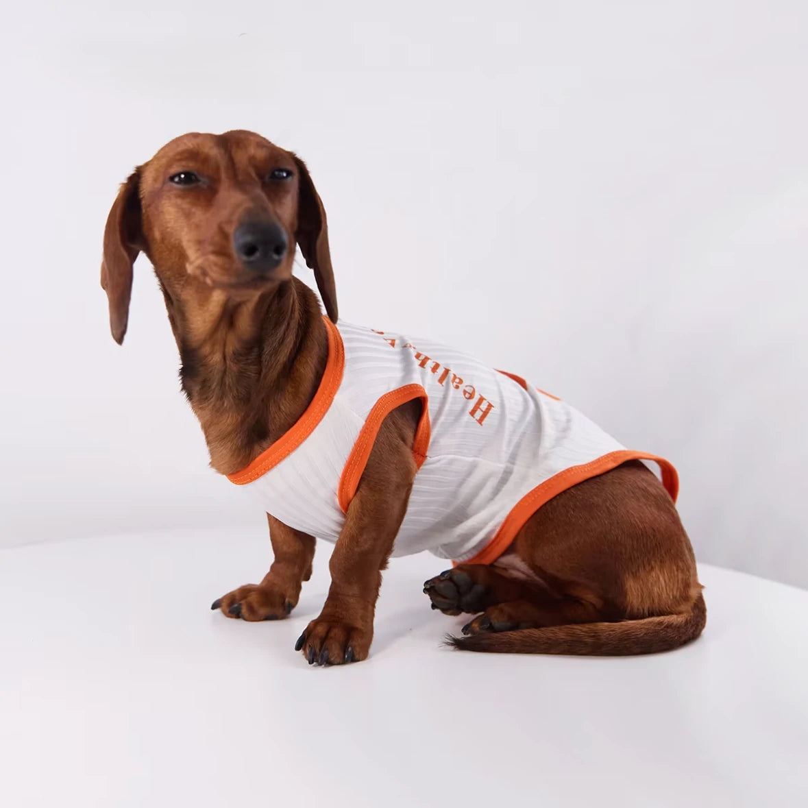 "Healthy Veggie" Ice Silk Dog Vest