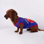 "Healthy Veggie" Ice Silk Dog Vest