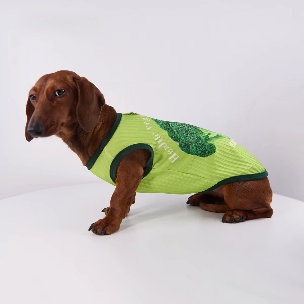 "Healthy Veggie" Ice Silk Dog Vest