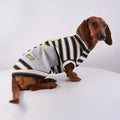 Varsity Stripe Dog Sweatshirt