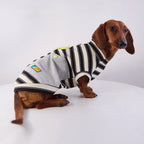 Varsity Stripe Dog Sweatshirt