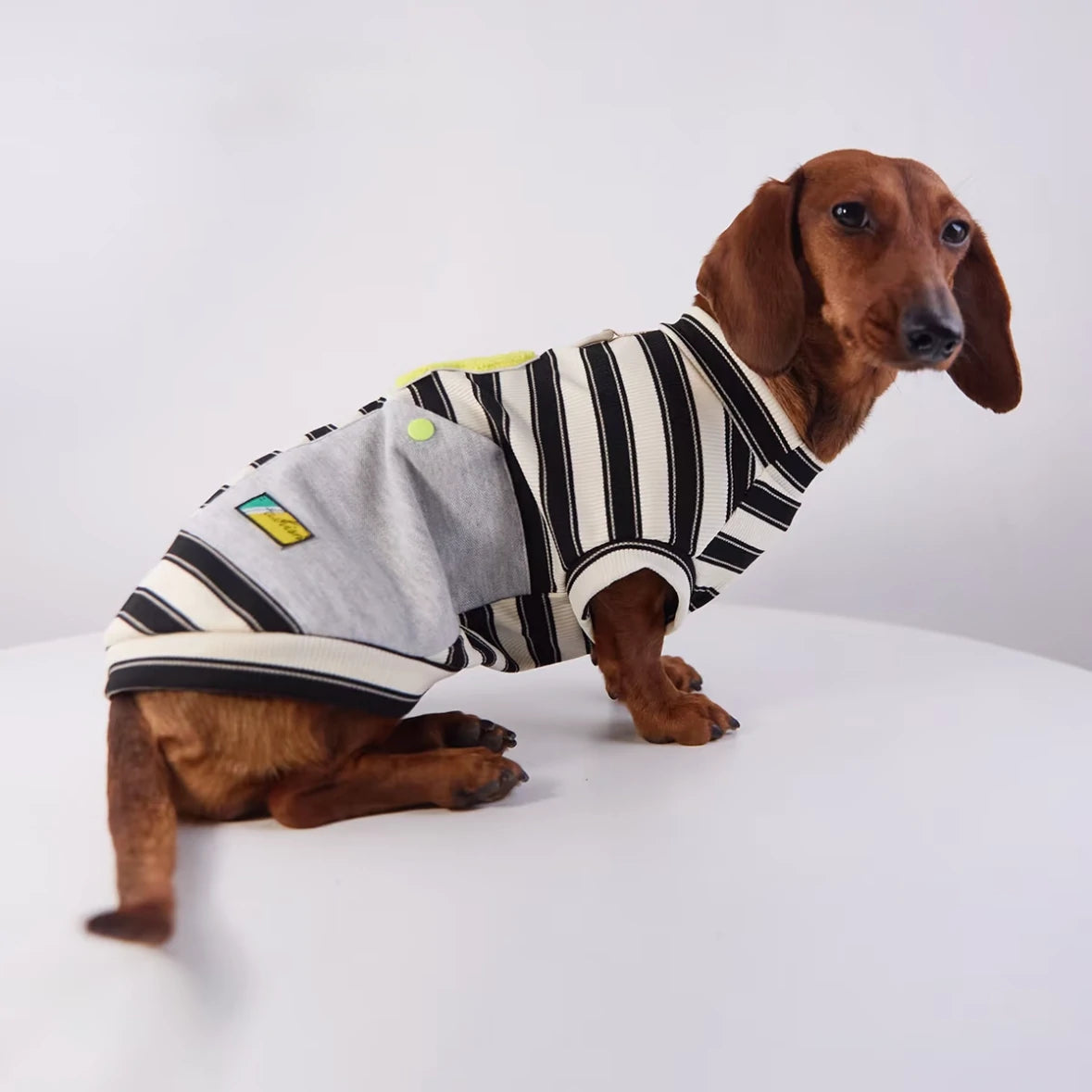Varsity Stripe Dog Sweatshirt