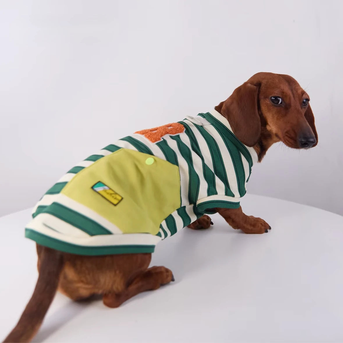 Varsity Stripe Dog Sweatshirt