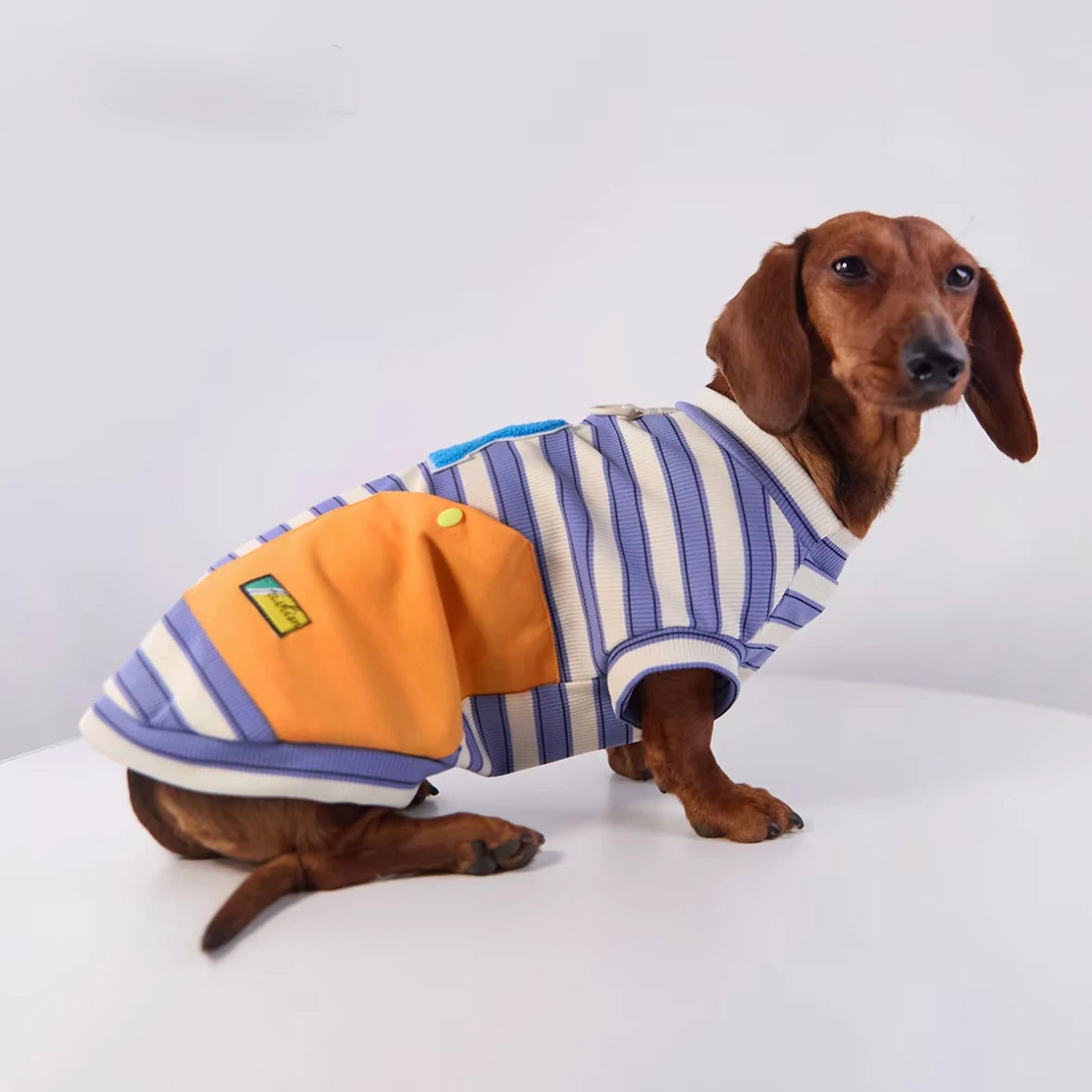 Varsity Stripe Dog Sweatshirt
