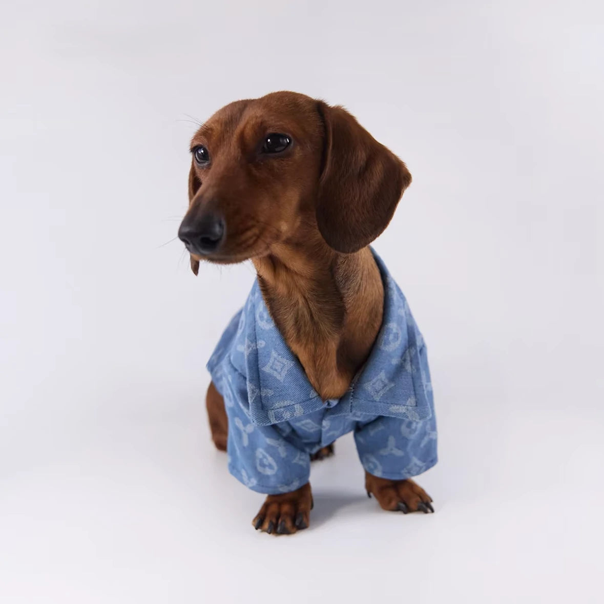 Monogram Denim Dog Shirt