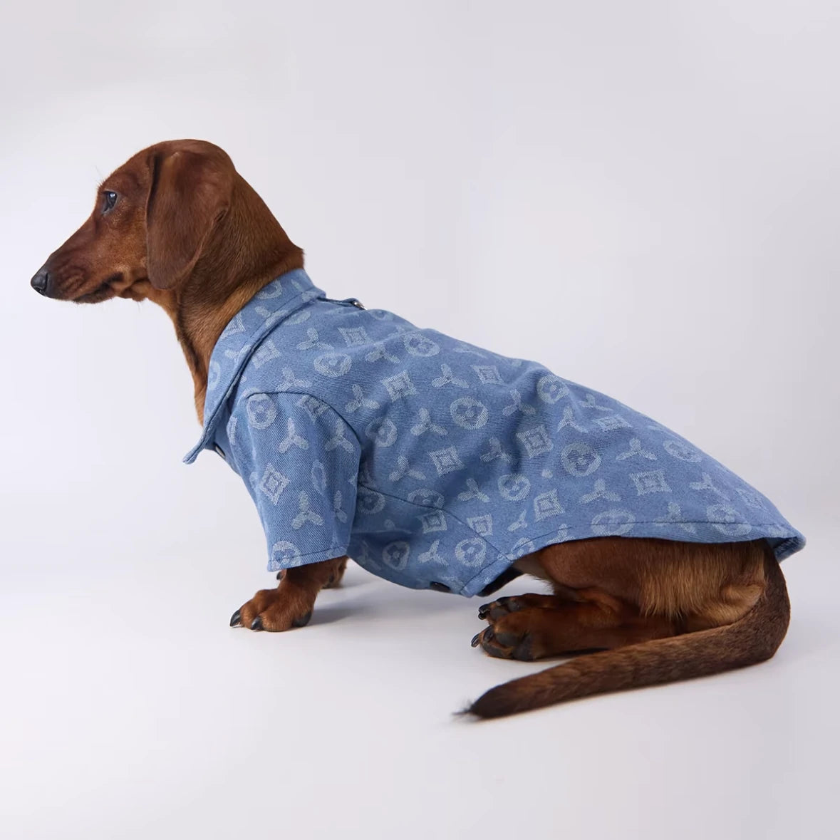 Monogram Denim Dog Shirt