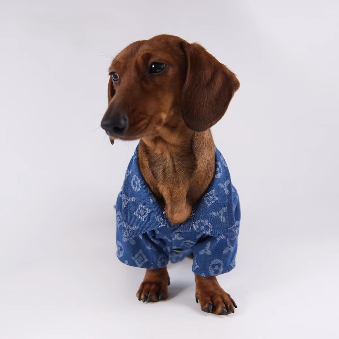 Monogram Denim Dog Shirt