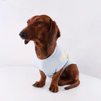 Anti-Shedding Ice Silk Quick-Dry Pet Vest