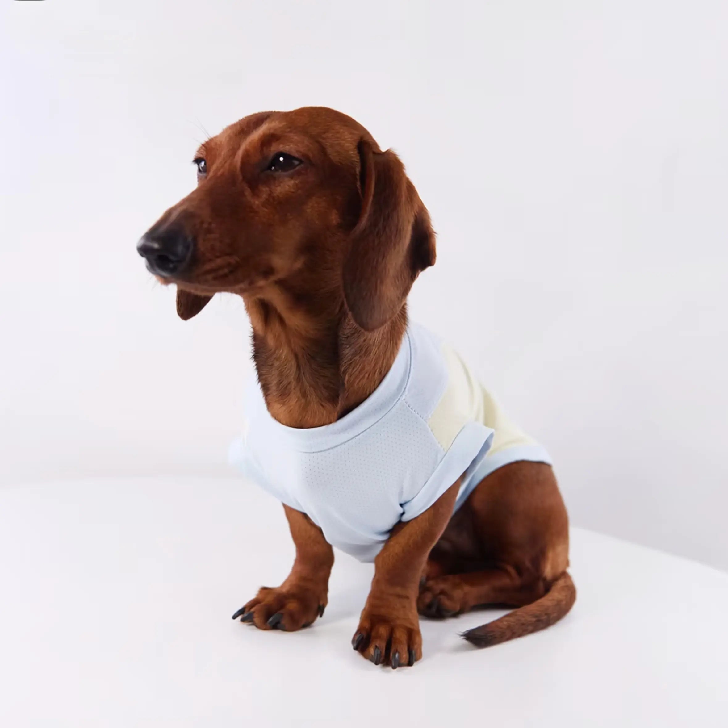 Anti-Shedding Ice Silk Quick-Dry Pet Vest