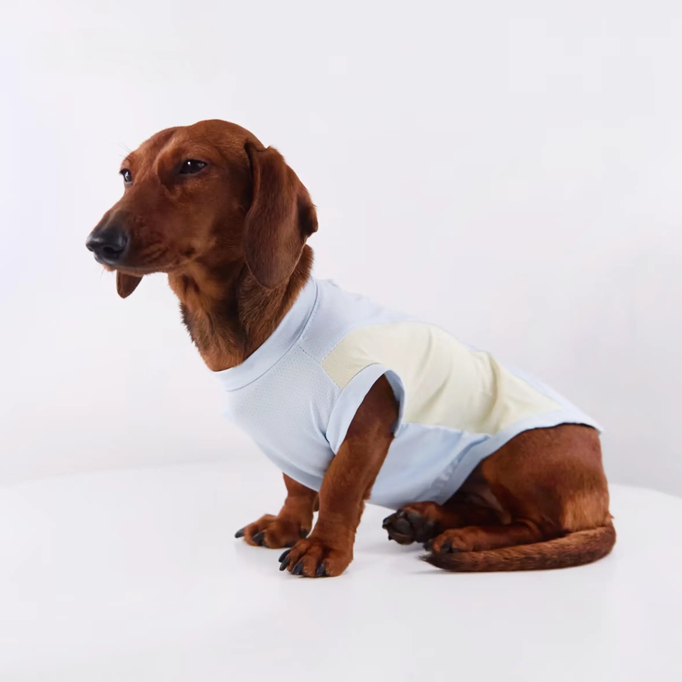 Anti-Shedding Ice Silk Quick-Dry Pet Vest