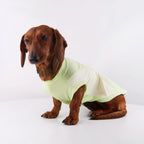 Anti-Shedding Ice Silk Quick-Dry Pet Vest