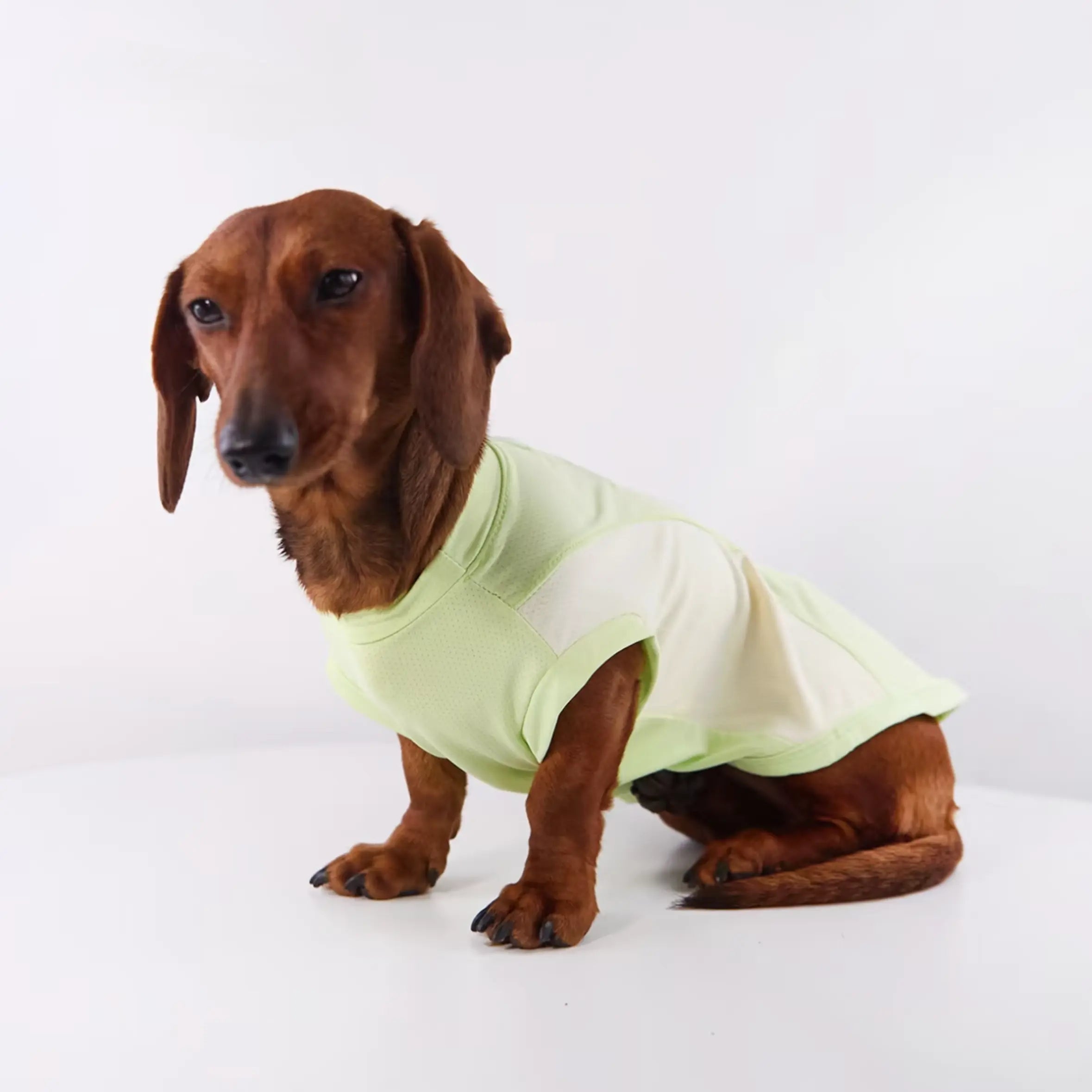 Anti-Shedding Ice Silk Quick-Dry Pet Vest