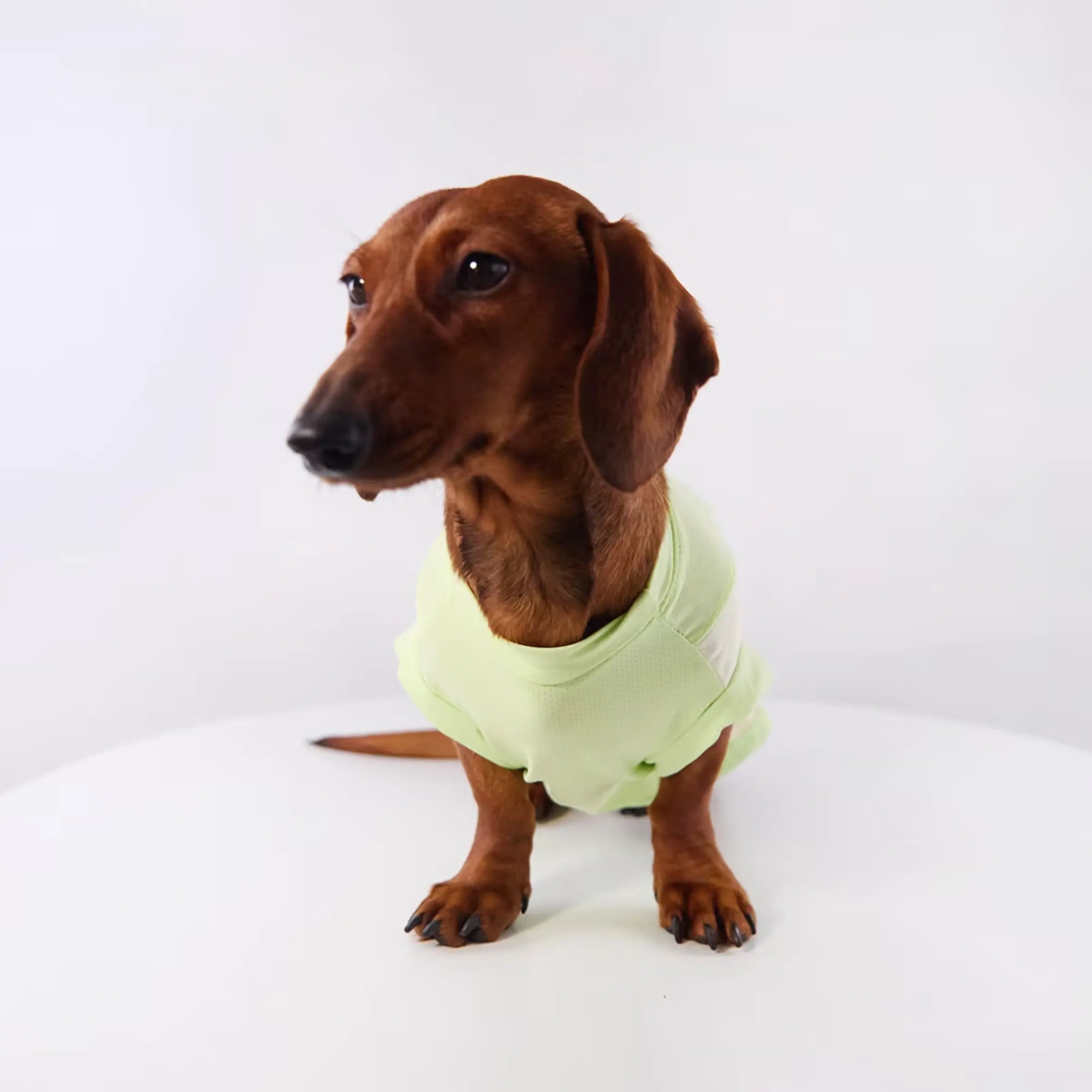 Anti-Shedding Ice Silk Quick-Dry Pet Vest