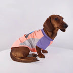 Color-Block Mesh Dog Vest