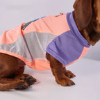 Color-Block Mesh Dog Vest