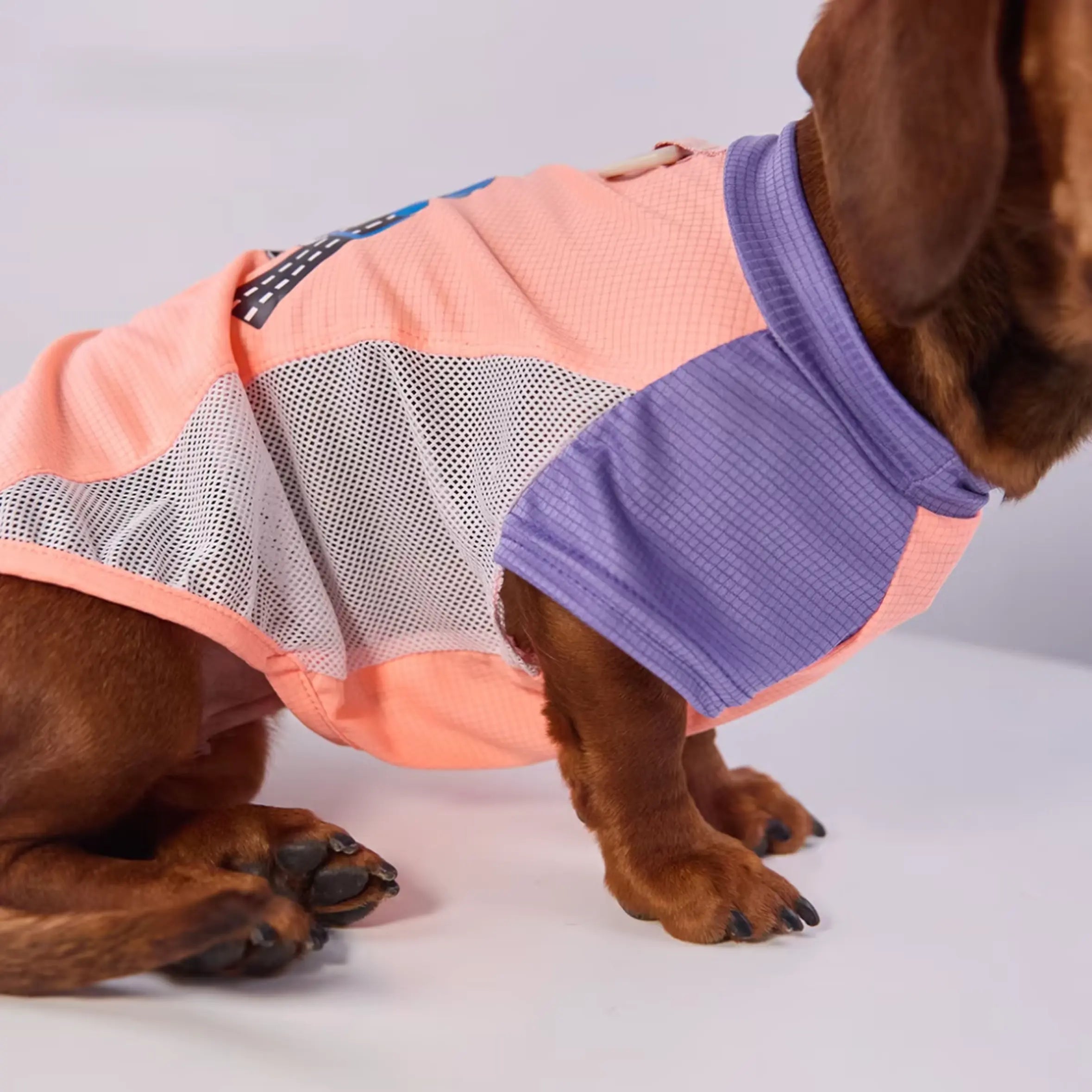 Color-Block Mesh Dog Vest