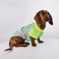Color-Block Mesh Dog Vest