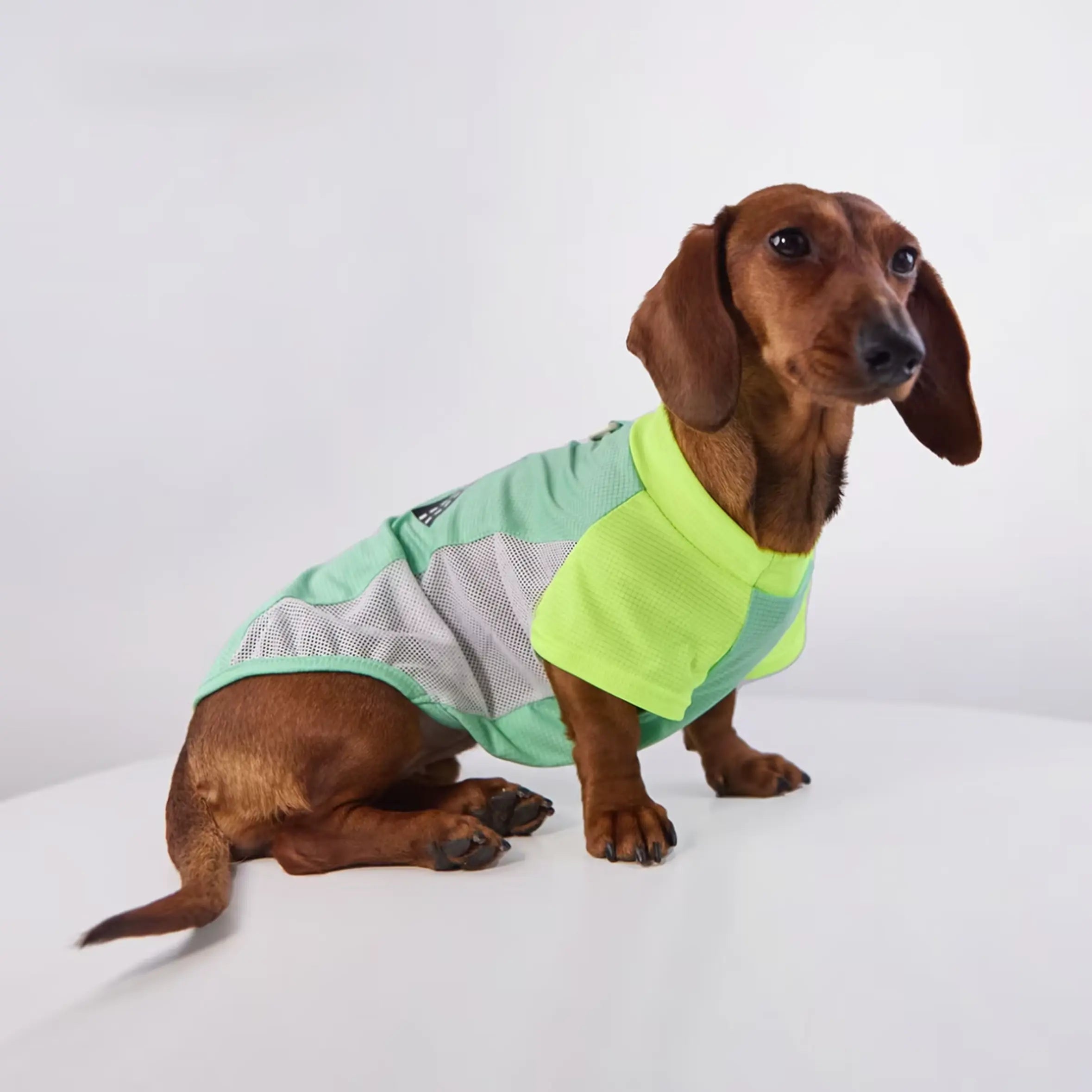 Color-Block Mesh Dog Vest