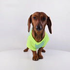 Color-Block Mesh Dog Vest