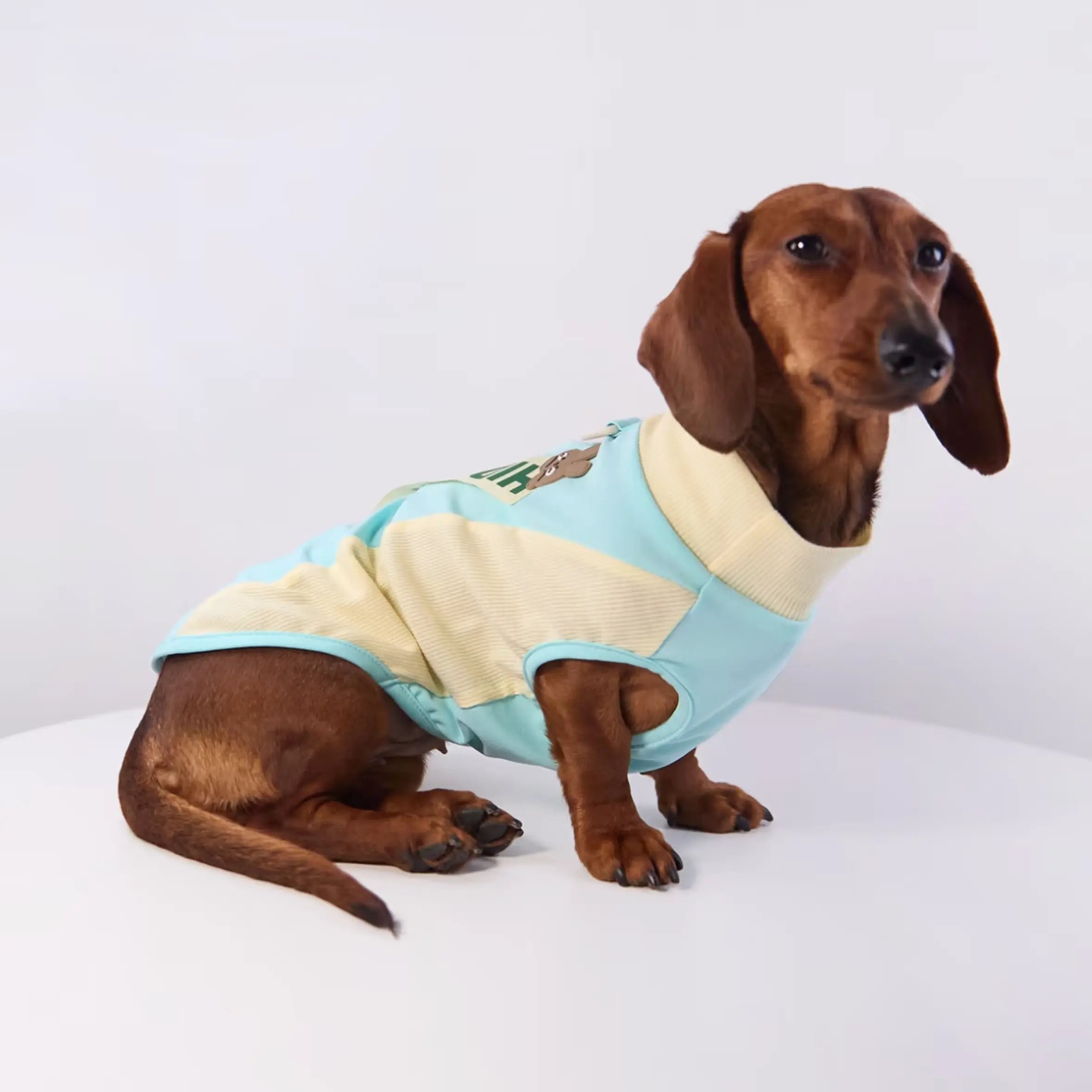 Bunny & D-Ring Casual Pet Vest
