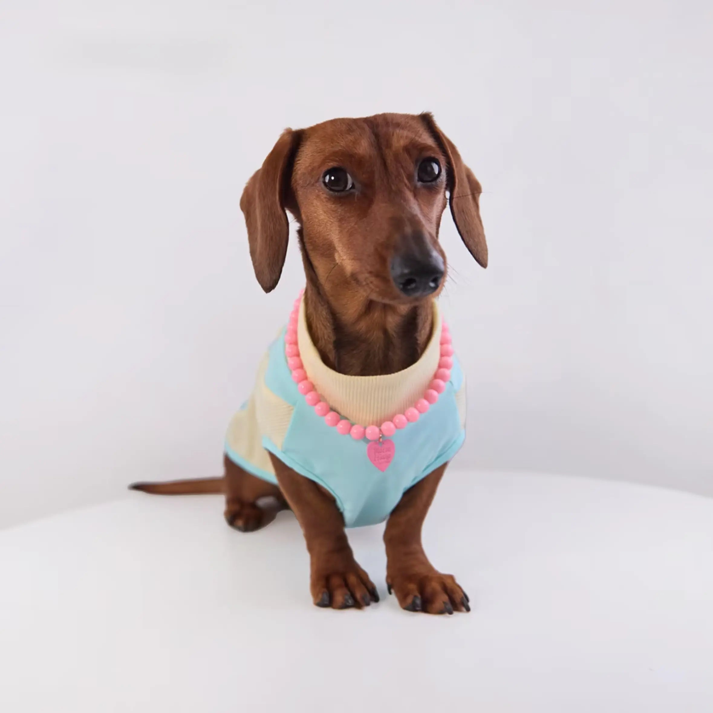 Bunny & D-Ring Casual Pet Vest