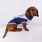 Bunny & D-Ring Casual Pet Vest
