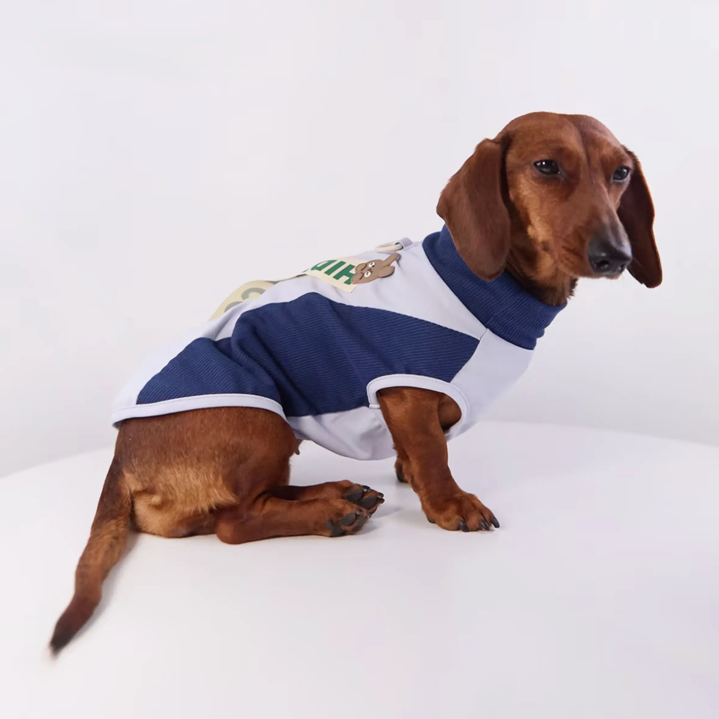 Bunny & D-Ring Casual Pet Vest