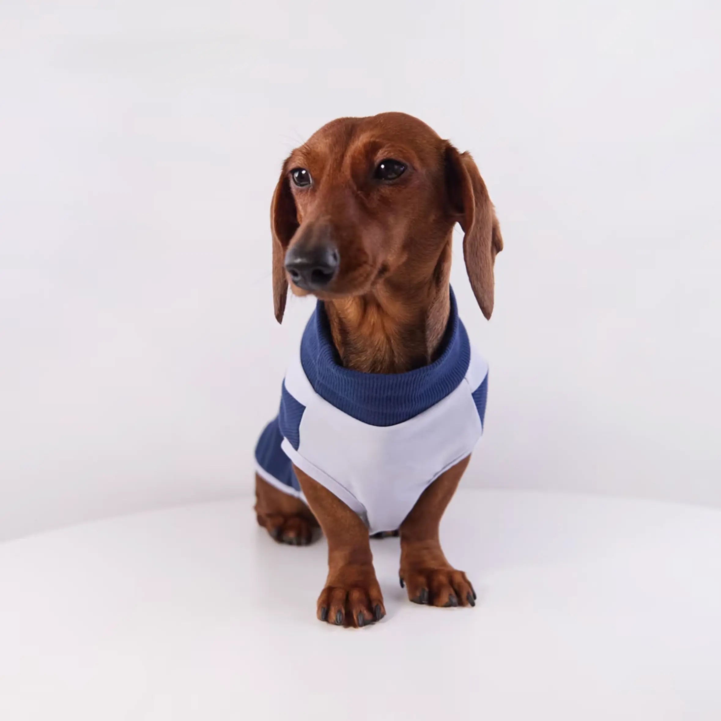 Bunny & D-Ring Casual Pet Vest