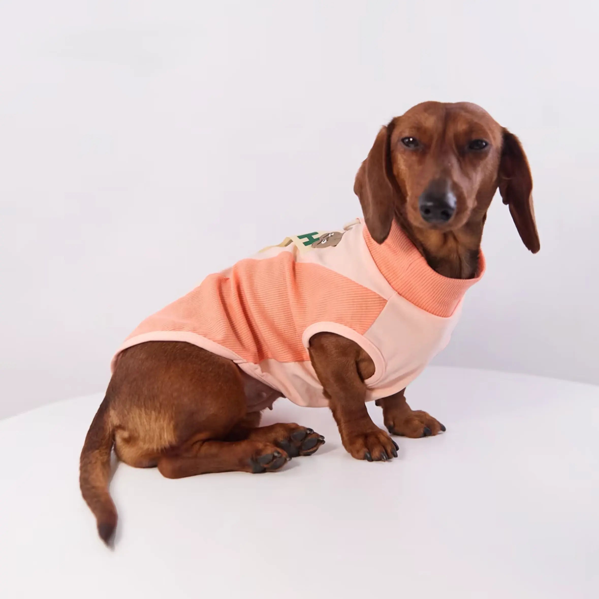 Bunny & D-Ring Casual Pet Vest