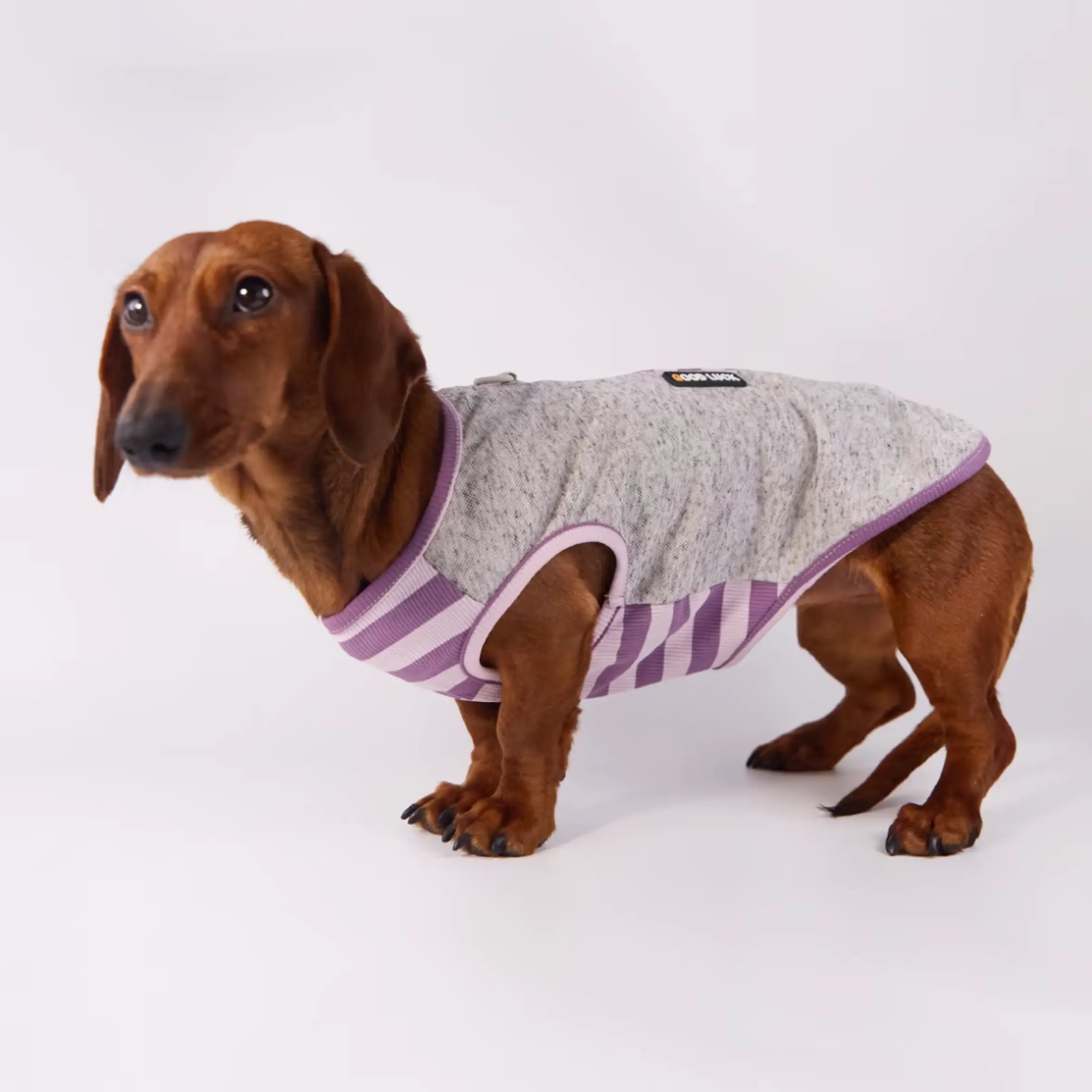 Lightweight Summer Stripe Pet Vest