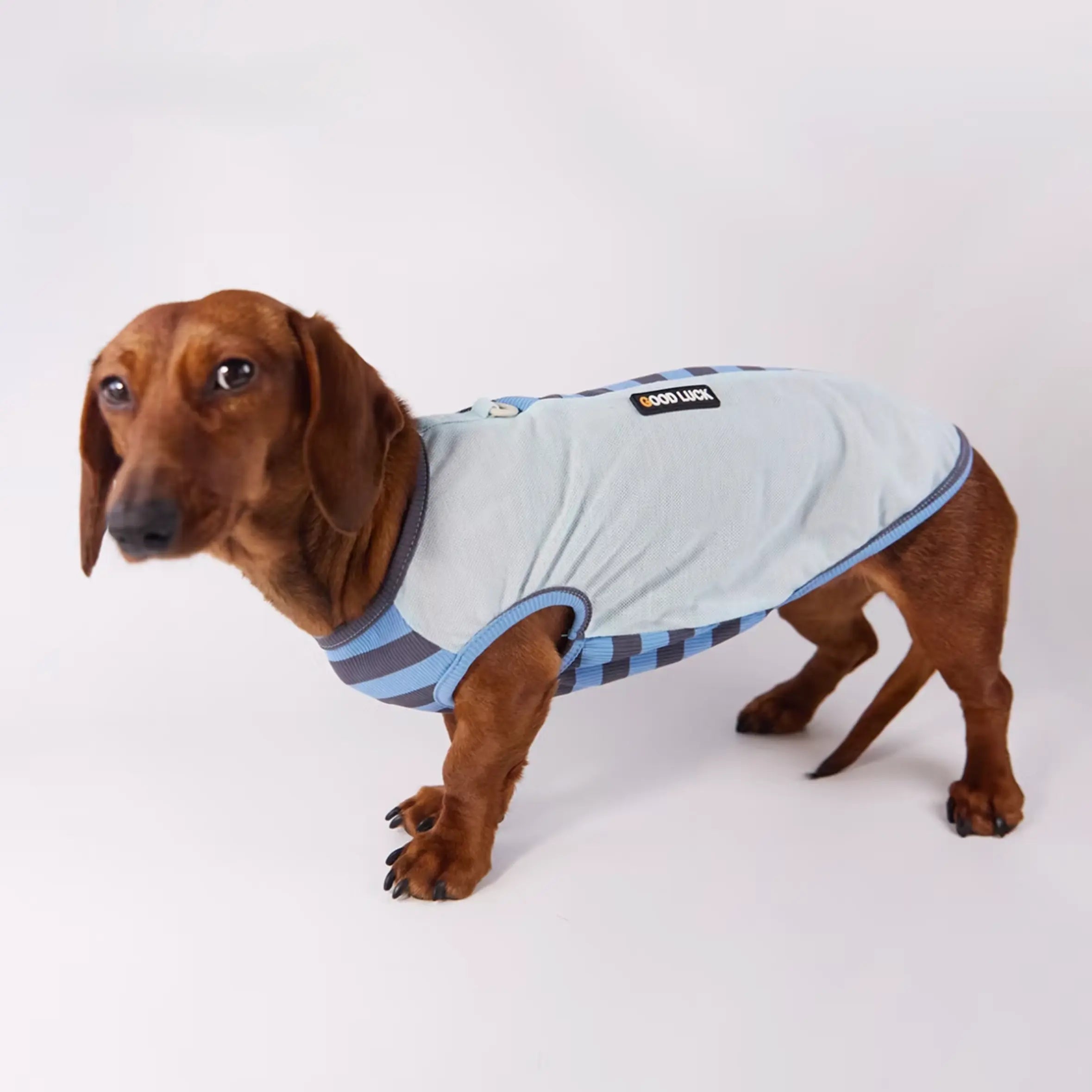 Lightweight Summer Stripe Pet Vest