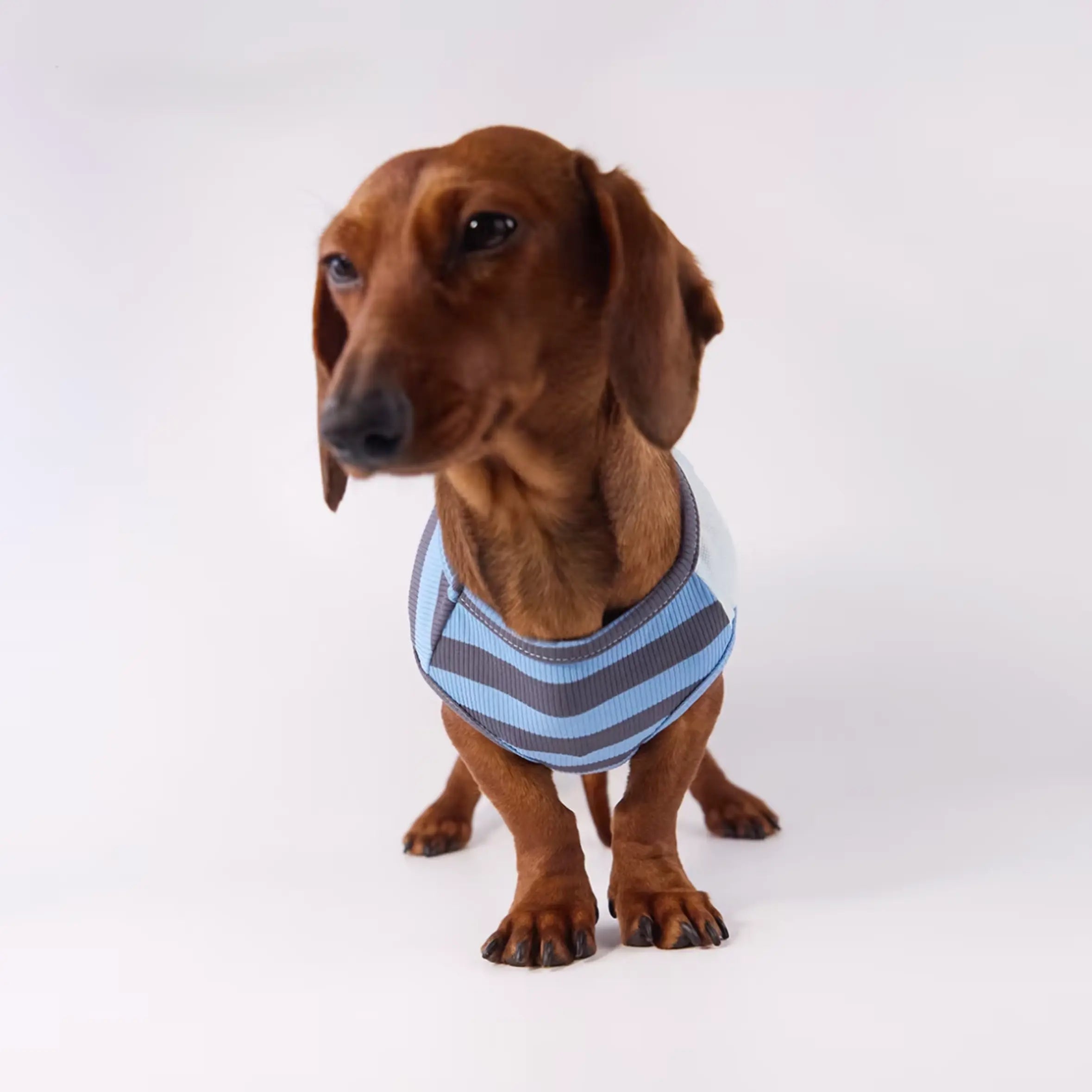 Lightweight Summer Stripe Pet Vest
