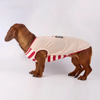 Lightweight Summer Stripe Pet Vest