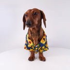 Tropical Floral Print Pet Shirt