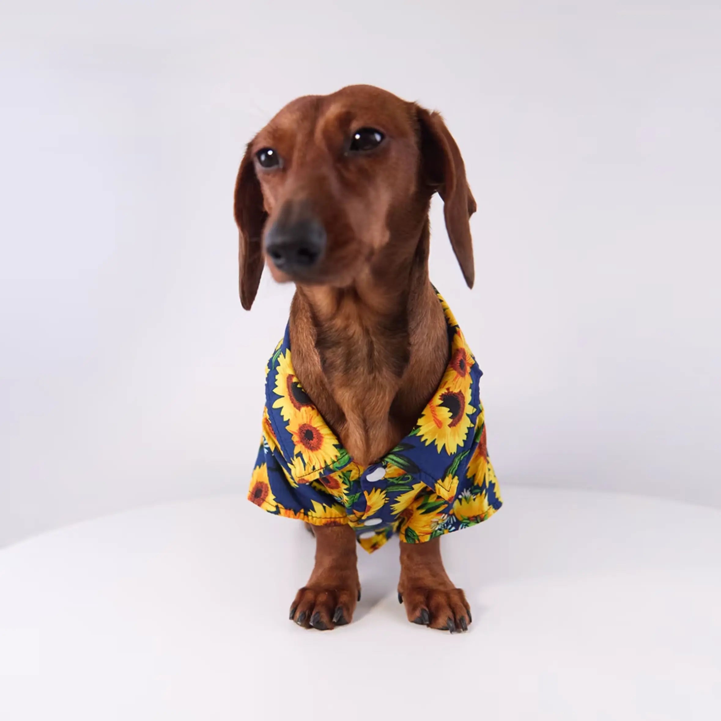 Tropical Floral Print Pet Shirt