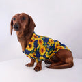 Tropical Floral Print Pet Shirt