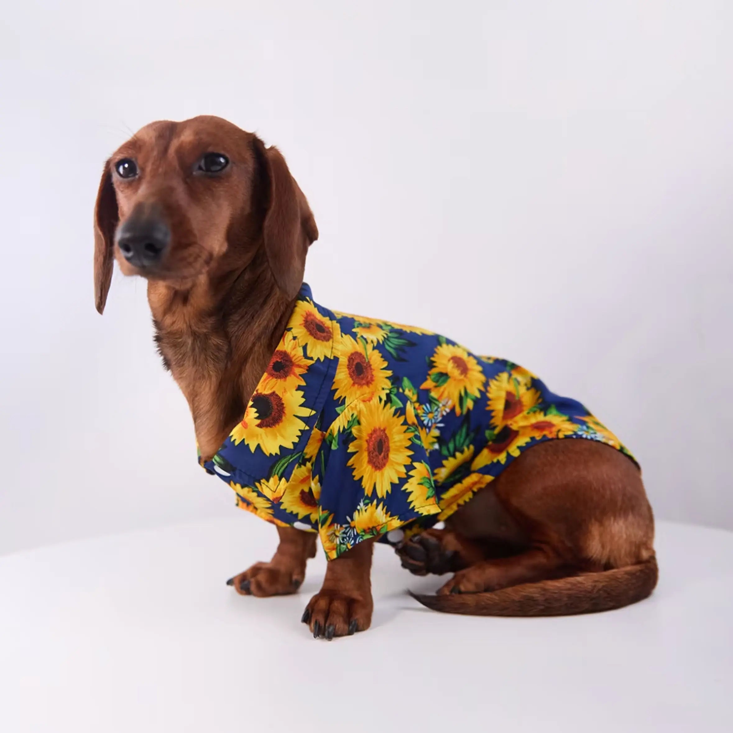 Tropical Floral Print Pet Shirt