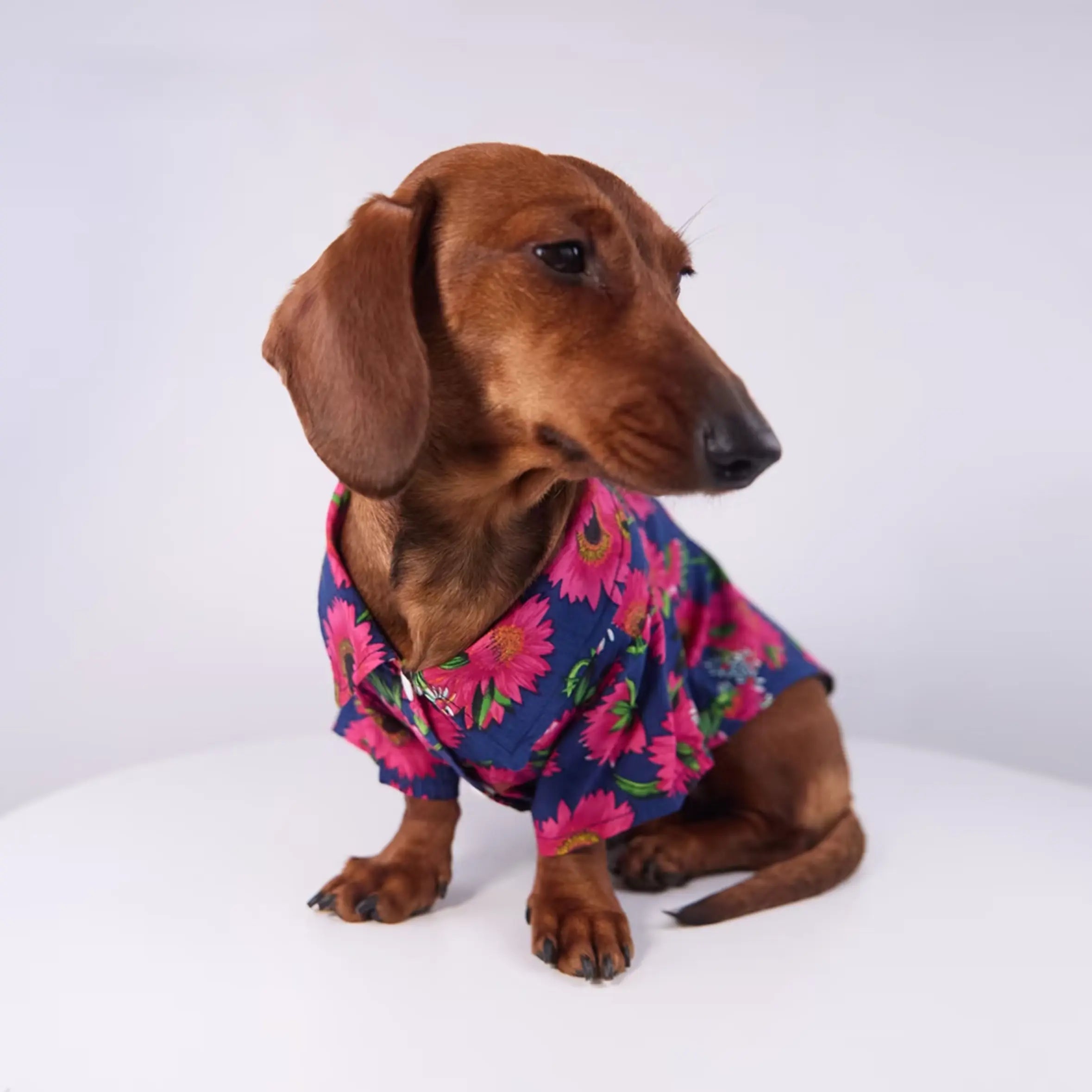 Tropical Floral Print Pet Shirt