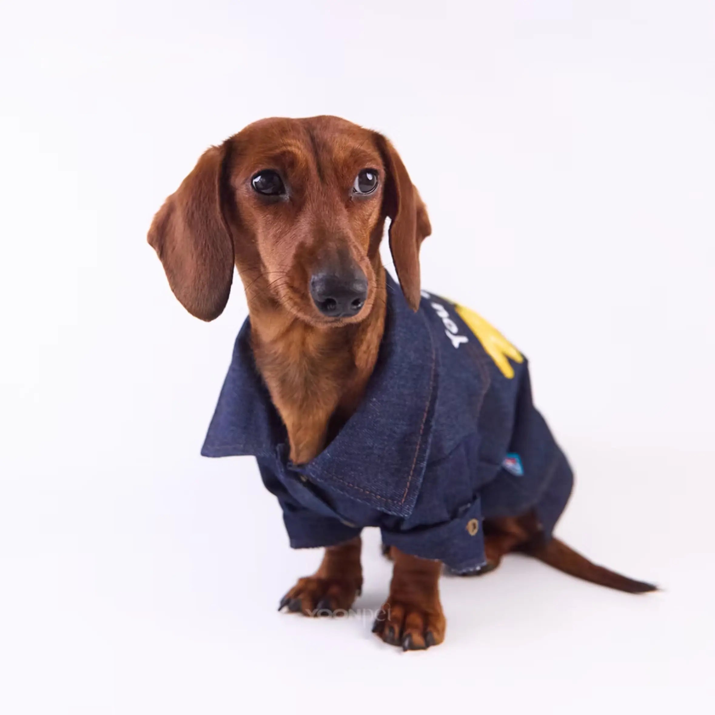 "You Are My Sunshine" Denim Dog Jacket