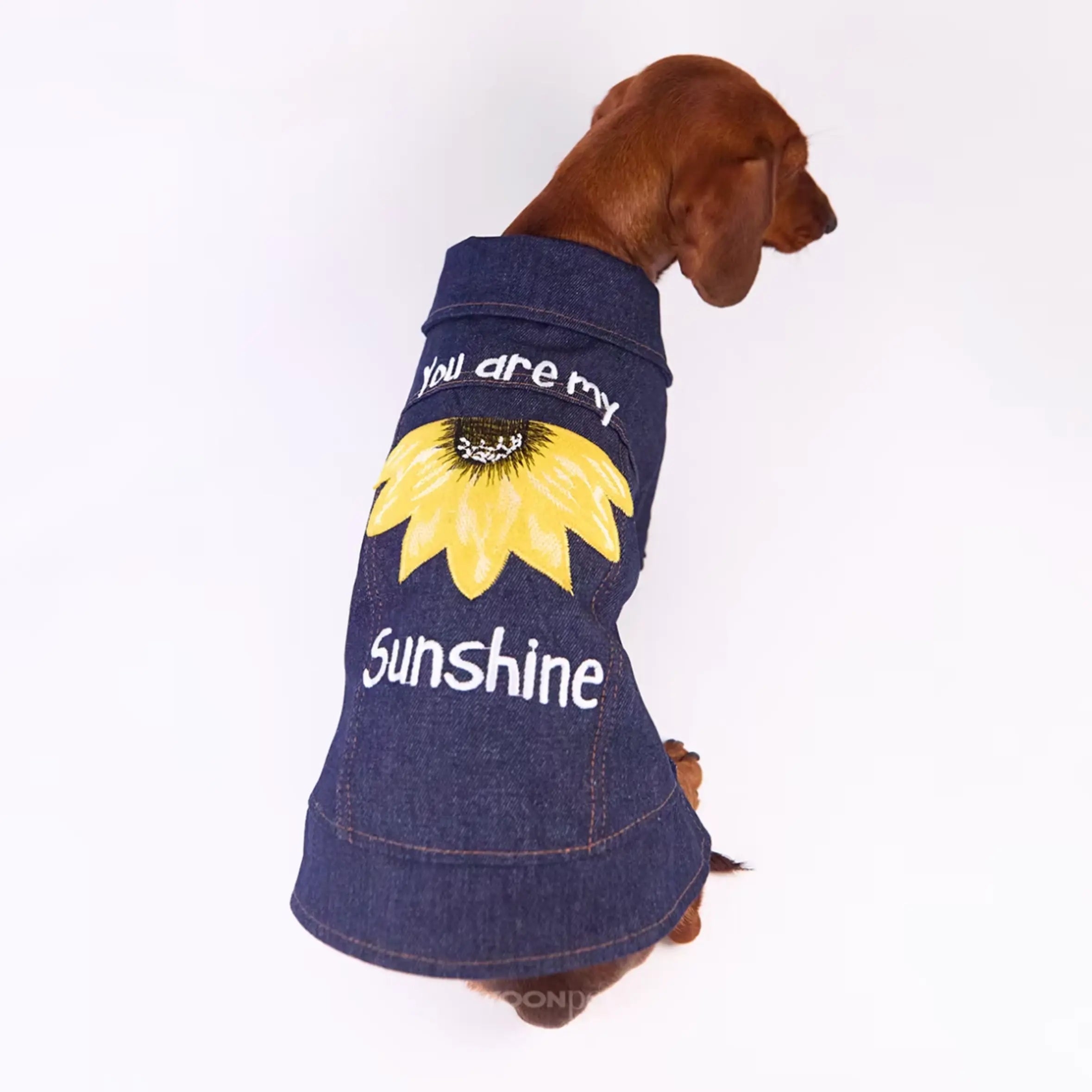"You Are My Sunshine" Denim Dog Jacket