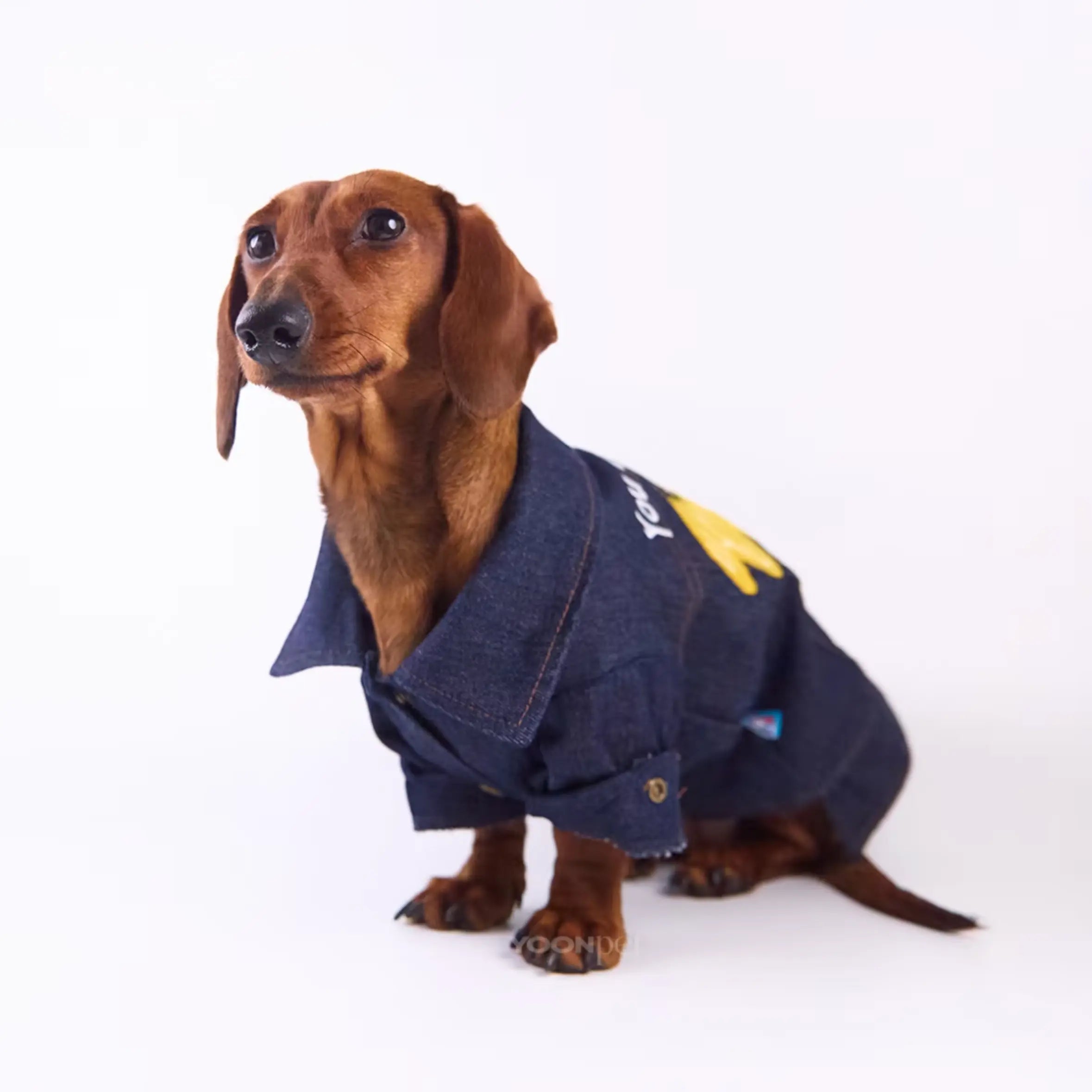 "You Are My Sunshine" Denim Dog Jacket