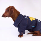 "You Are My Sunshine" Denim Dog Jacket