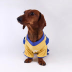 Sports Jersey & Corduroy Pet Overalls Set