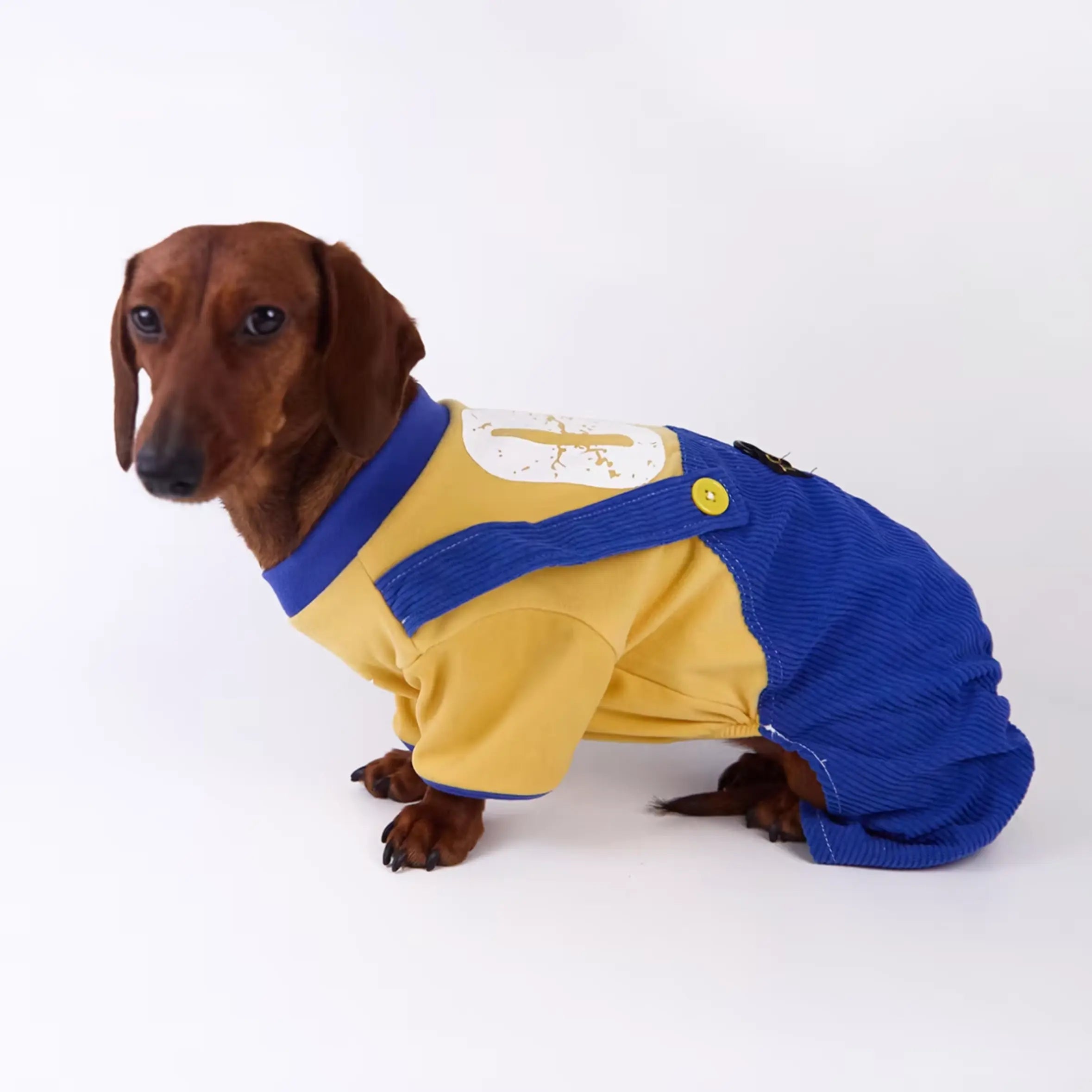Sports Jersey & Corduroy Pet Overalls Set