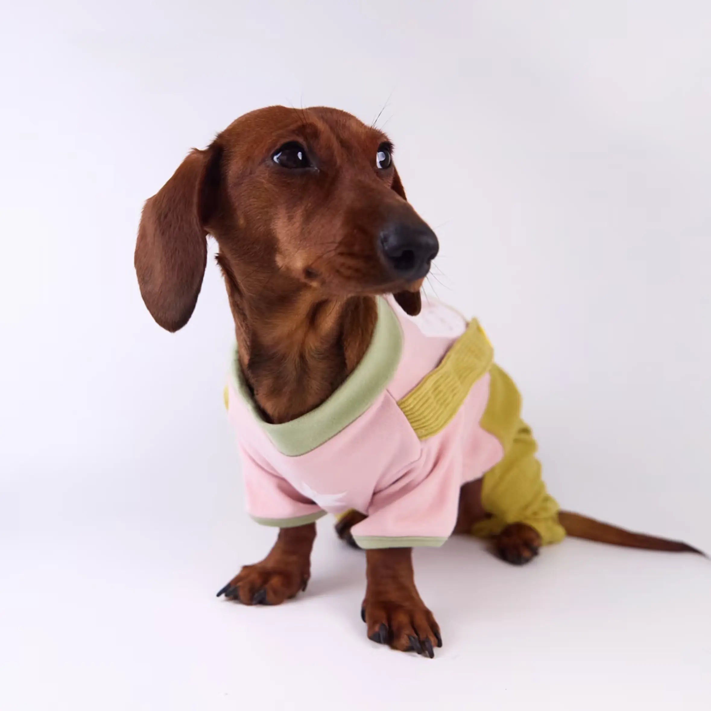 Sports Jersey & Corduroy Pet Overalls Set