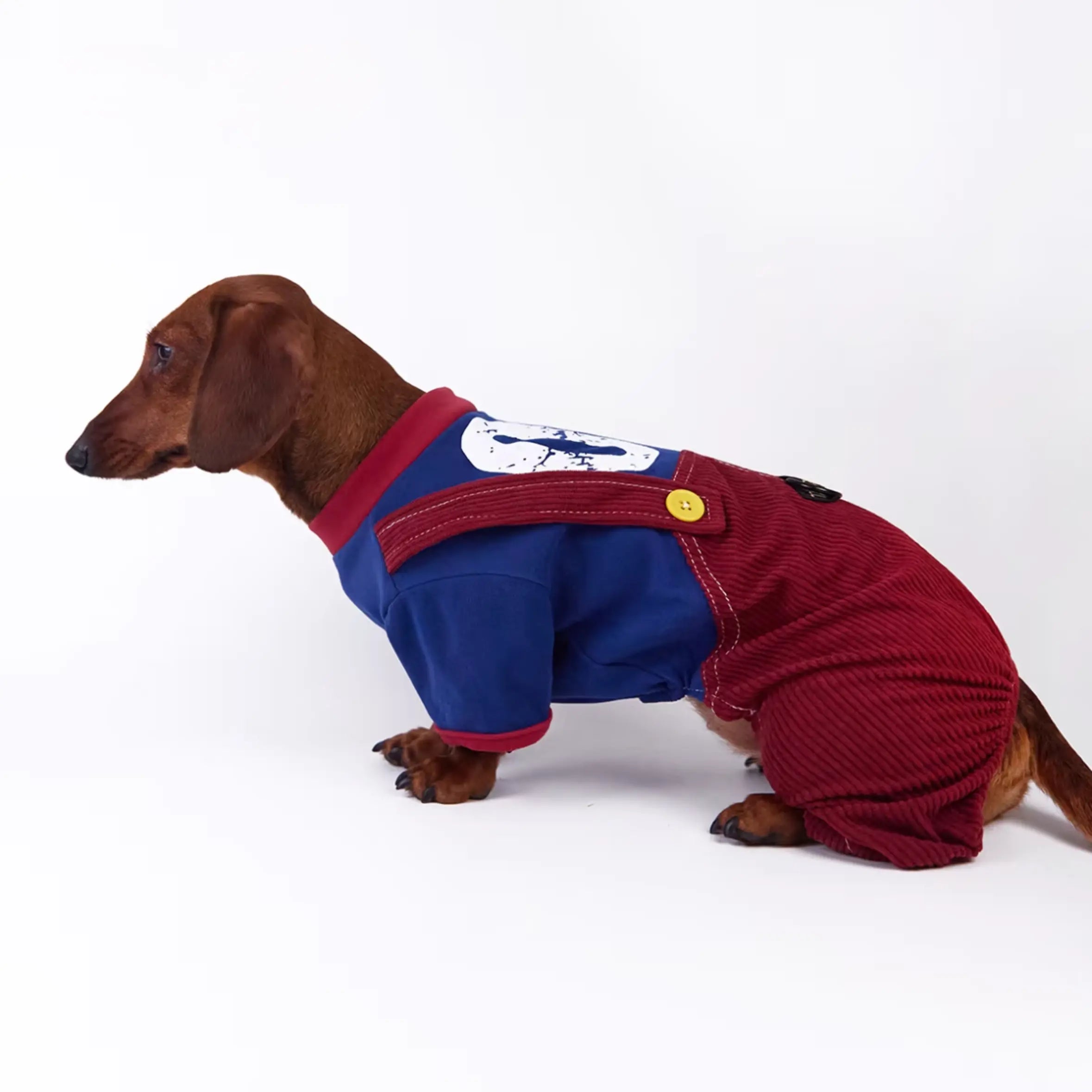 Sports Jersey & Corduroy Pet Overalls Set