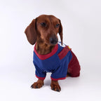 Sports Jersey & Corduroy Pet Overalls Set