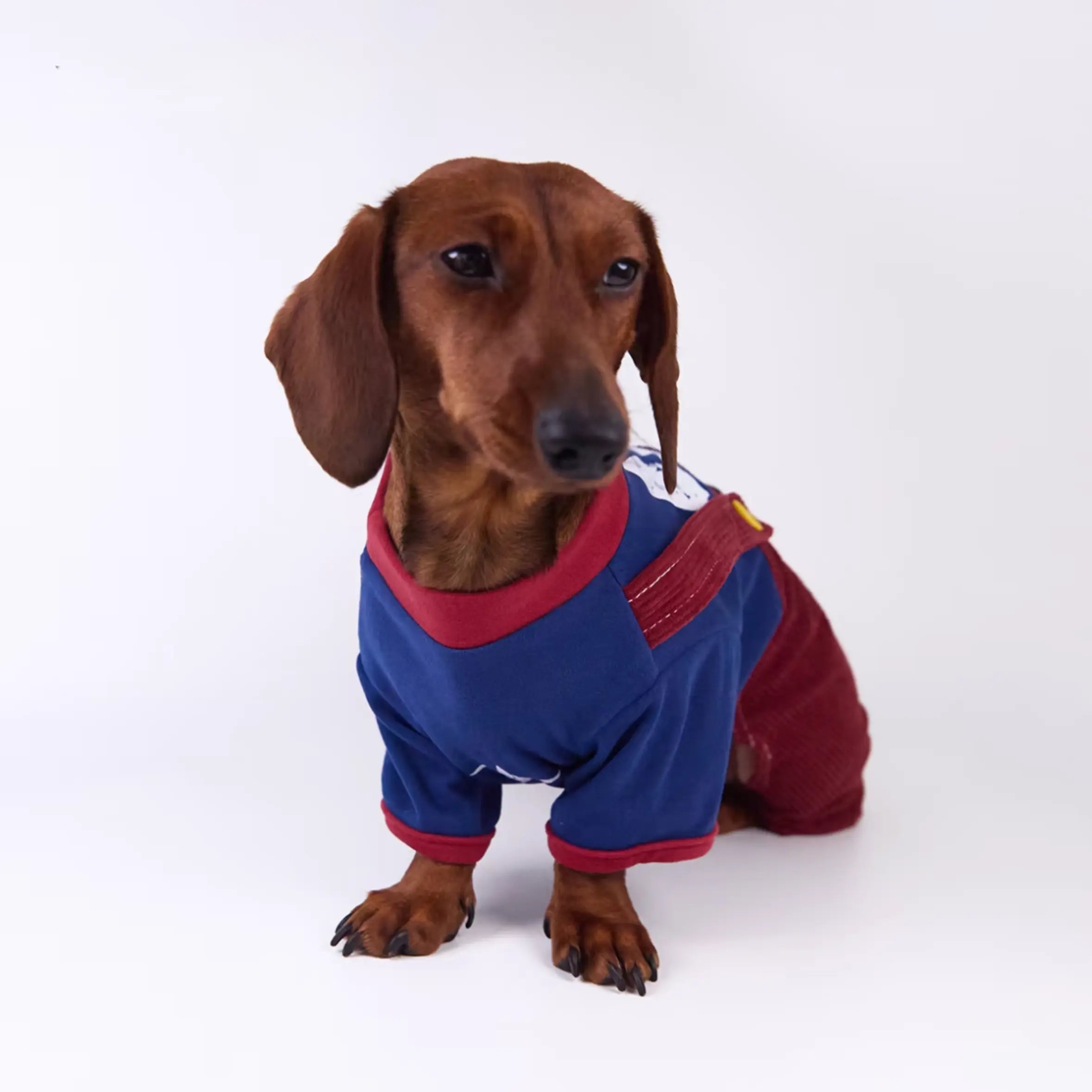 Sports Jersey & Corduroy Pet Overalls Set