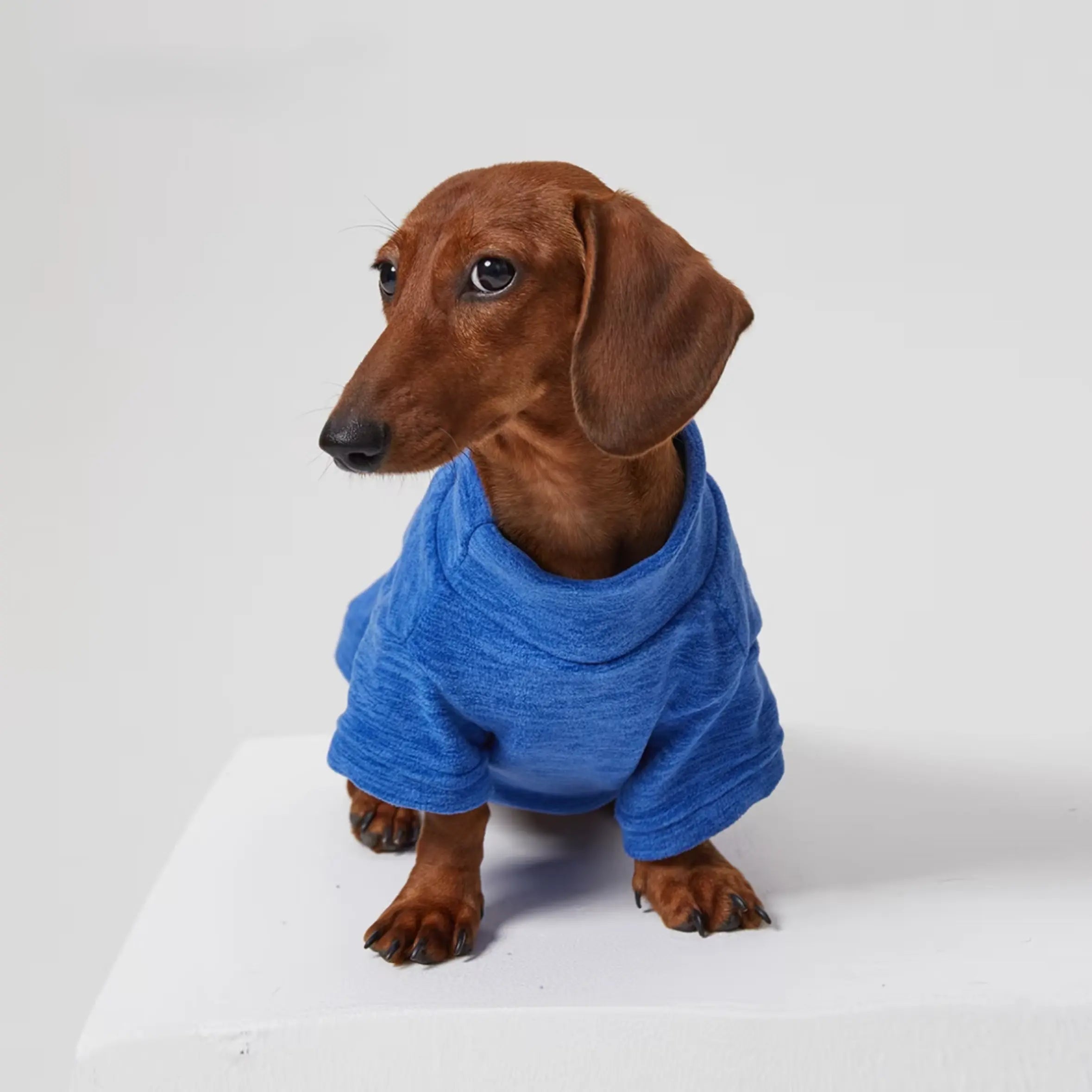 Soft Terry Dog Coat