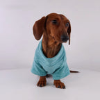 Soft Terry Dog Coat
